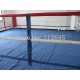 12 Foot Professional Wrestling Ring Canvas Boxing MMA UFC 12 WWE TNA WWF