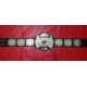 Dragon Gate Dream Championship Belt