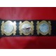 Dragon Gate Dream Championship Belt