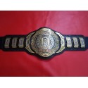 Rare Broken Hardy Brilliance Championship Belt