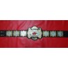 Dragon Gate Dream Championship Belt