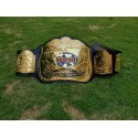 WWF Classic World Tag Team Championship Wrestling belt