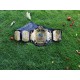 WWF Winged Eagle HeavyWeight Championship Belt