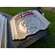 WCW World Television Championship Belt
